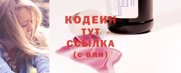 сатива Ельня