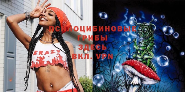 крисы Абинск