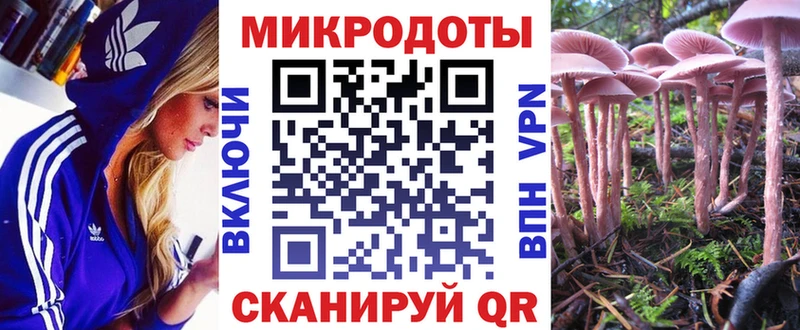 где купить наркоту  Краснодар  Галлюциногенные грибы Psilocybine cubensis 